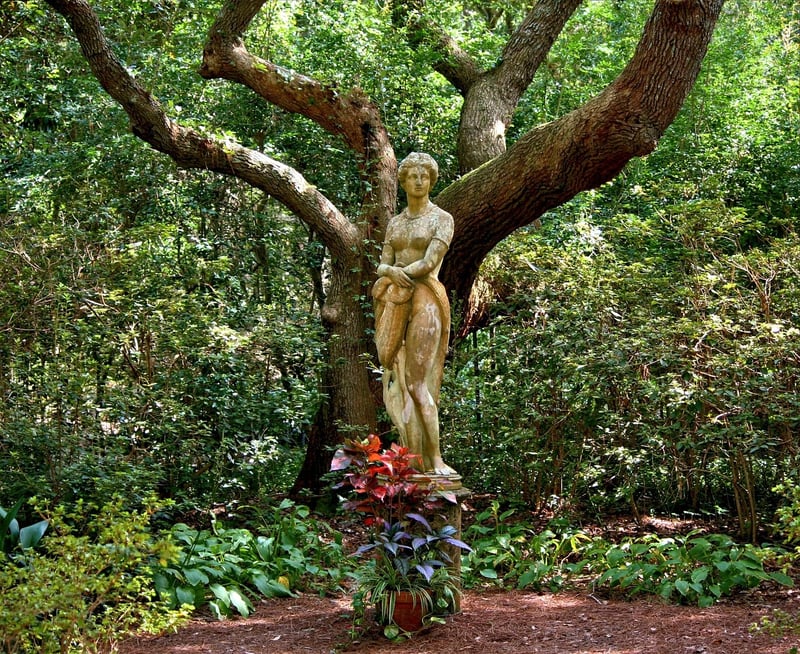 Mythical Botanicals