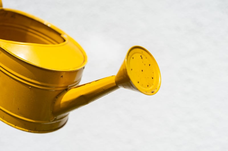 Wizard Watering Cans